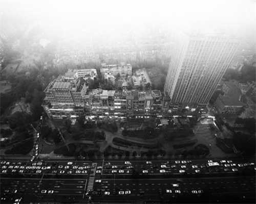 狗狗为什么不喜欢伊丽莎白圈？会让它感觉到不属实，你戴你也讨厌