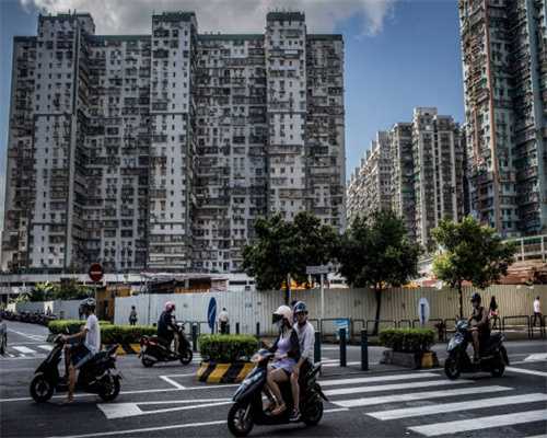黑柴咬了纸巾后眼不见为净：看不到，我没做过
