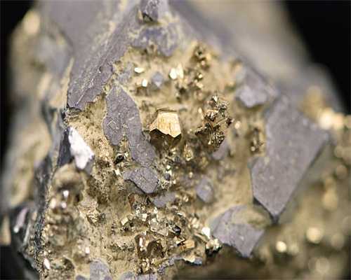 生活与宠：狗狗拉稀可以吃蒙脱石散吗 蒙脱石散对狗拉稀有用吗？