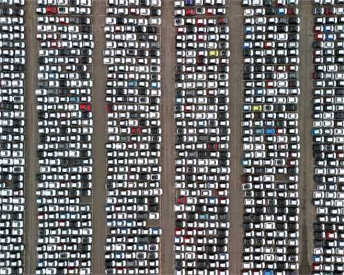 损失上亿！网上“养猫”6000多人被骗，多地警方已立案