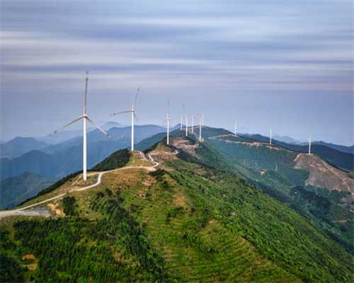 为什么狗狗总是往外跑？如何制止狗狗离家出走？让它安心待在家里
