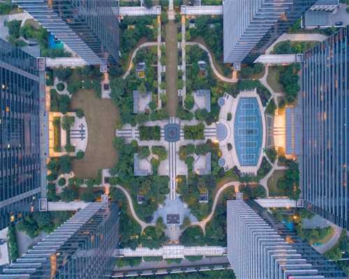 狗狗战斗力排行：战斗力最强的6种狗，每只都是“战斗汪”