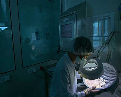 宠物店来了新仓鼠，想想那生起来没完的画面还是缩回了掏钱包的手